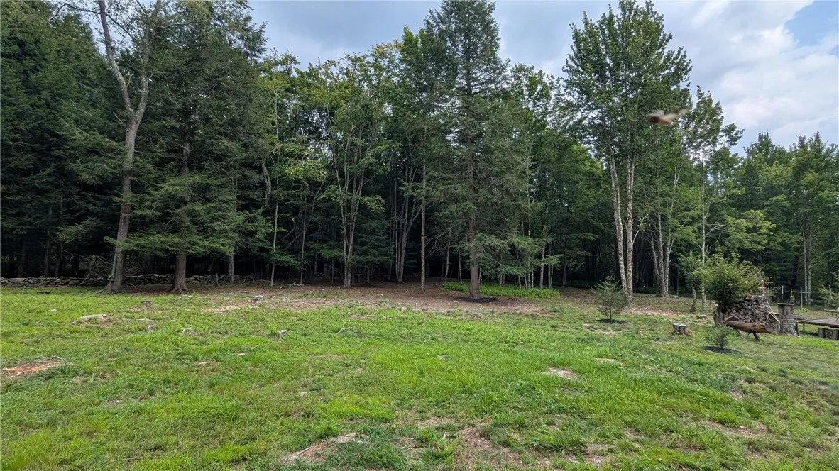 468 Wood Road, Harpersfield, New York 12093, Harpersfield, New York 12093, ,Land,For Sale,468 Wood Road, Harpersfield, New York 12093,R1629222