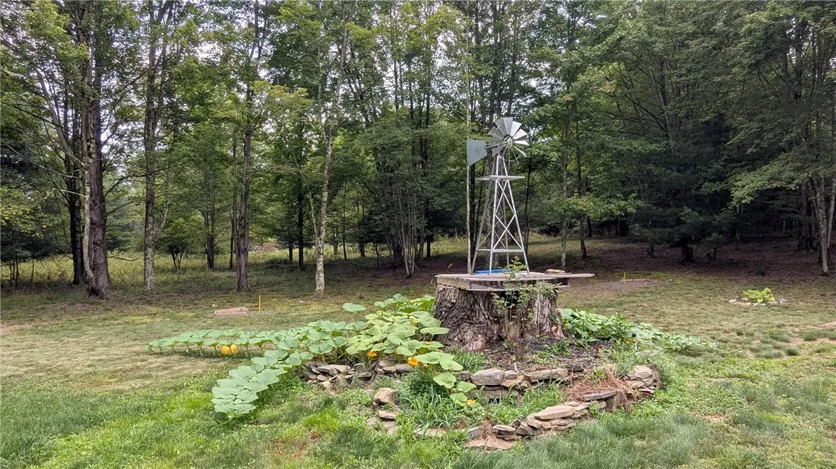 Pumpkin plants adorns Stump platform complete with windmill