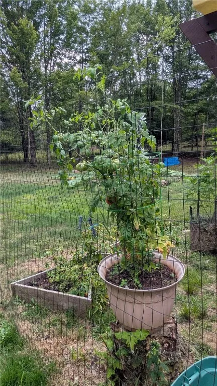 Fenced area gives nice garden​​‌​​​​‌​​‌‌​‌‌​​​‌‌​‌​‌​‌​​​‌​​ area