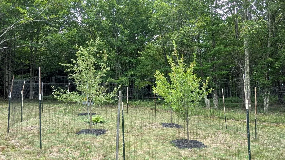Fruit trees include 2 apple, 2 plum fenced to protect from our 4 legged friends