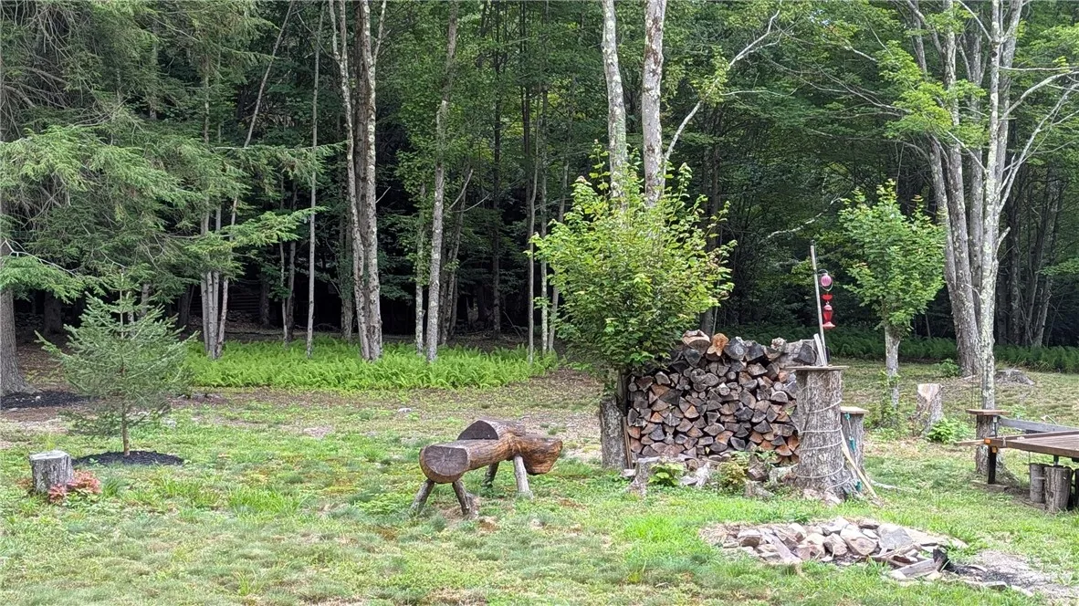 468 Wood Road, Harpersfield, New York 12093, Harpersfield, New York 12093, ,Land,For Sale,468 Wood Road, Harpersfield, New York 12093,R1629222