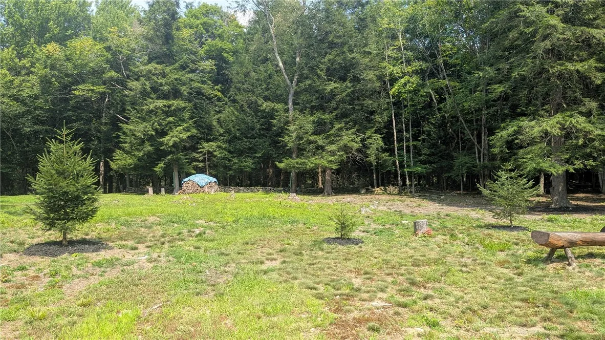 Front wood pile is not included in sale