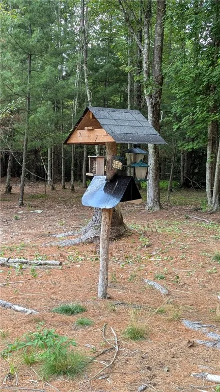 Feeding station for Mother Natures feathered friends