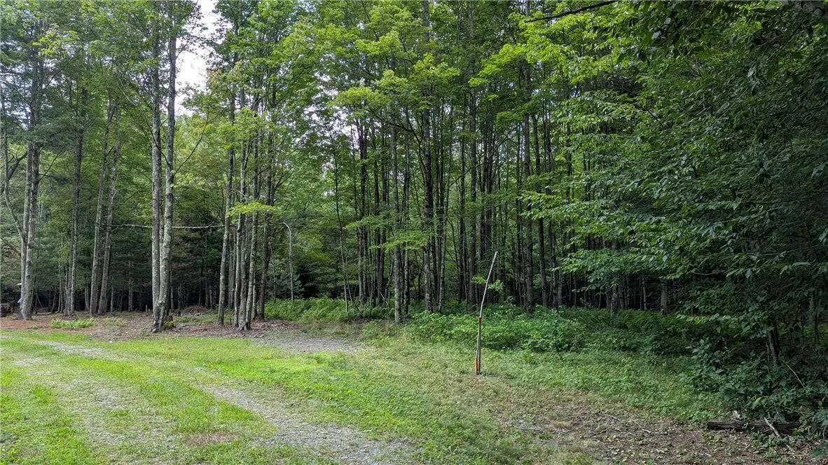 468 Wood Road, Harpersfield, New York 12093, Harpersfield, New York 12093, ,Land,For Sale,468 Wood Road, Harpersfield, New York 12093,R1629222