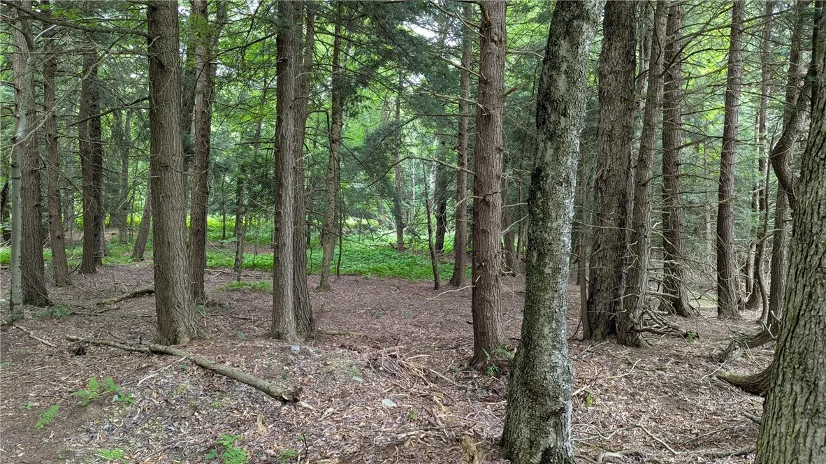 View of lot towards rear