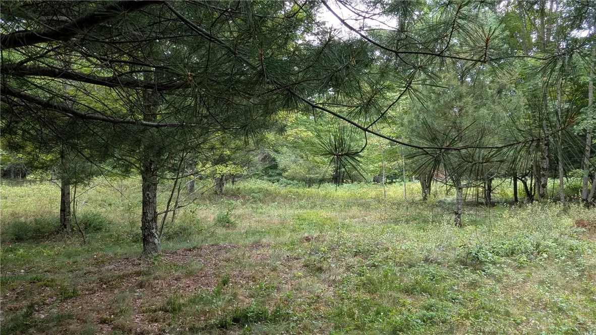 More wooded area in rear of lot