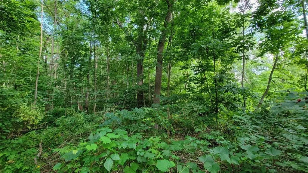 00 Dana Shores Drive, Richmond, New York 14471, Richmond, New York 14471, ,Land,For Sale,00 Dana Shores Drive, Richmond, New York 14471,R1628899