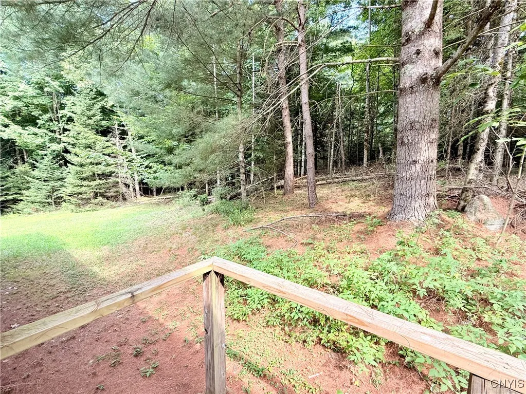 View from back door