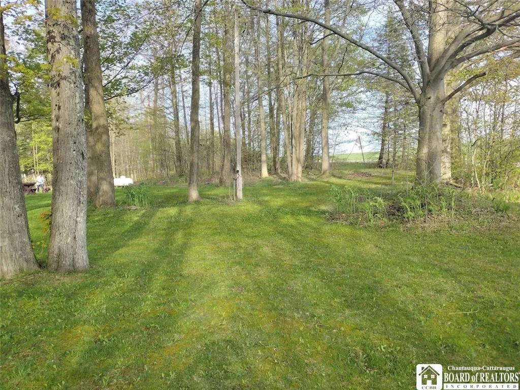 View to roadside from driveway