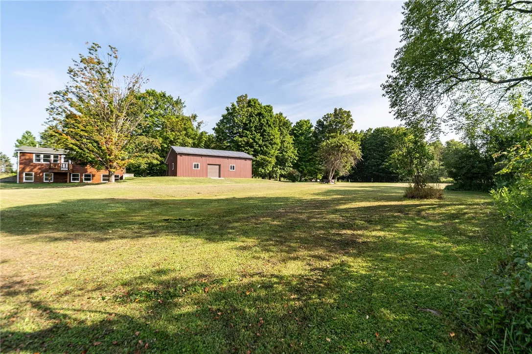 Expansive back yard