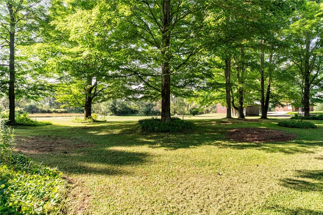 Expansive side yard