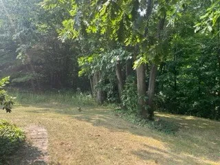 Rear Yard