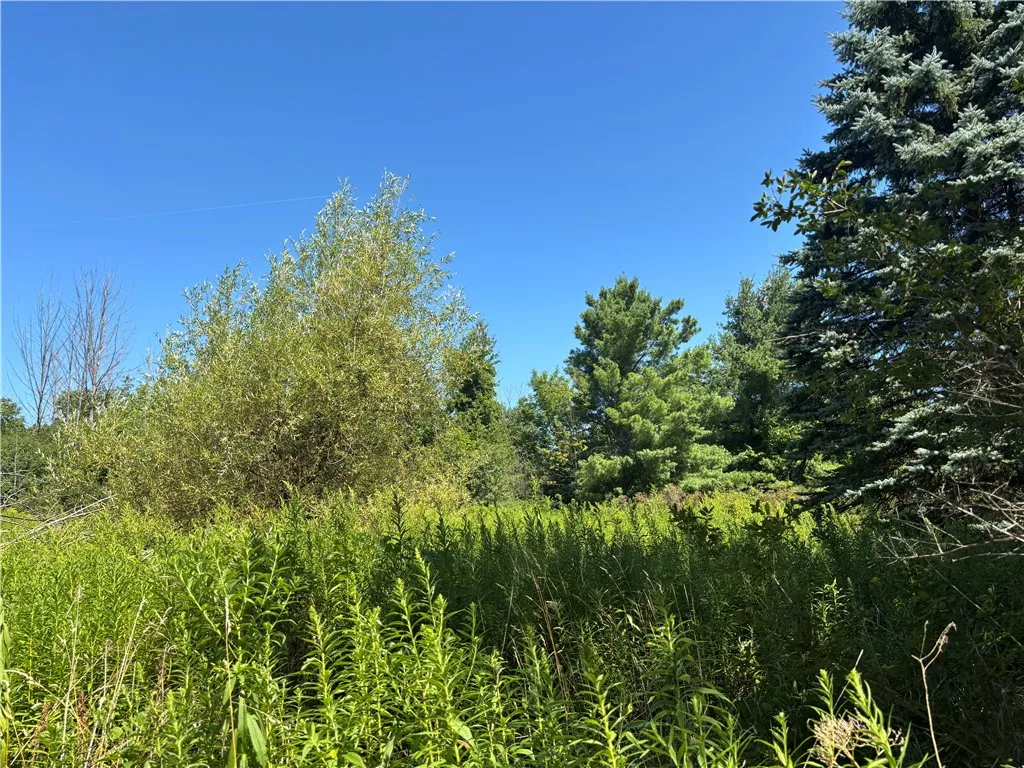 9849 County Route 76, Pulteney, New York 14840, Pulteney, New York 14840, 3 Bedrooms Bedrooms, 7 Rooms Rooms,1 BathroomBathrooms,Residential,Closed,9849 County Route 76, Pulteney, New York 14840,0,R1630012