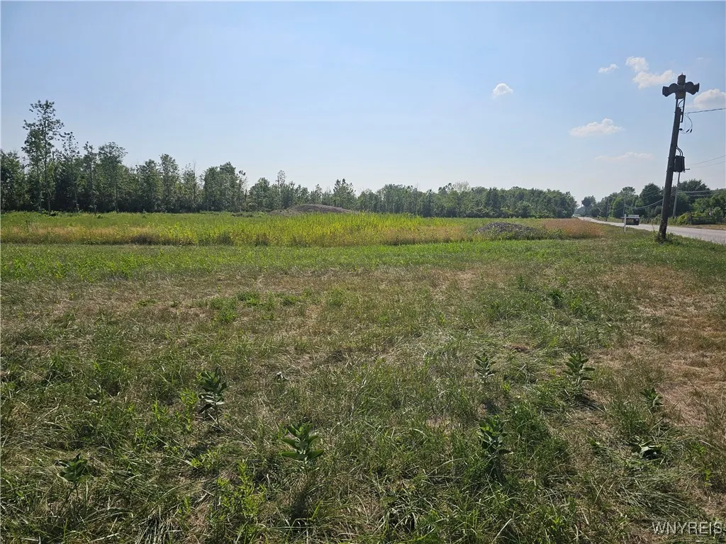Clarence Center Road, Newstead, New York 14001, Newstead, New York 14001, ,Land,For Sale,Clarence Center Road, Newstead, New York 14001,B1630068