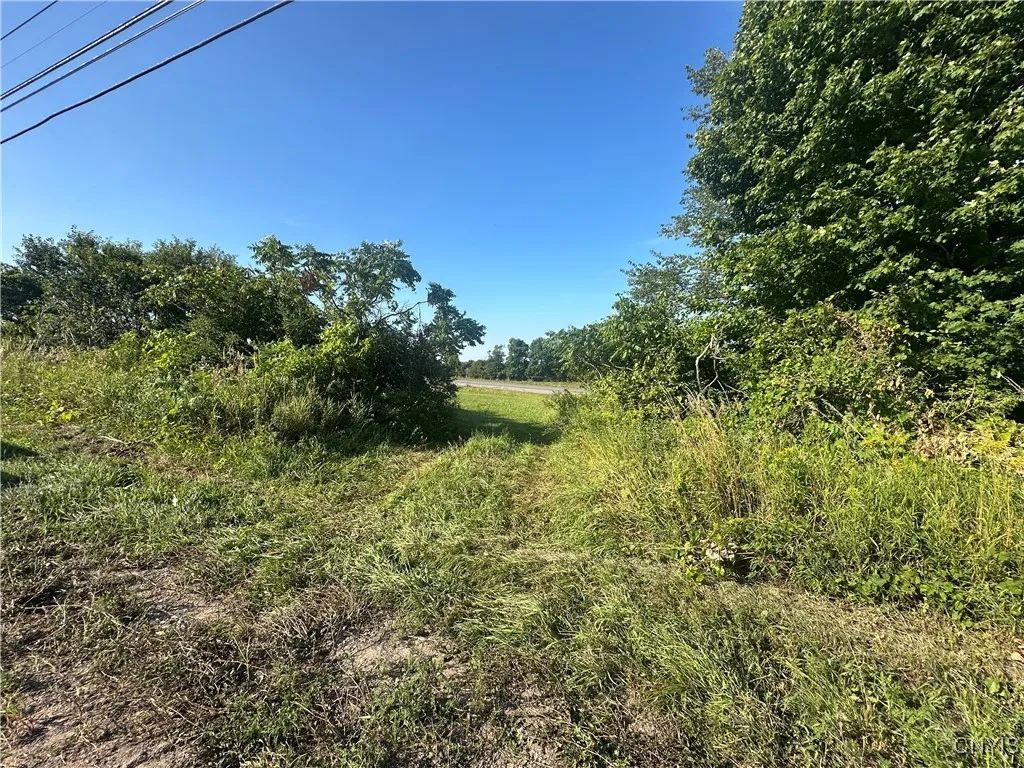 Putman Hill Road, Champion, New York 13619, Champion, New York 13619, ,Land,For Sale,Putman Hill Road, Champion, New York 13619,0,S1630090