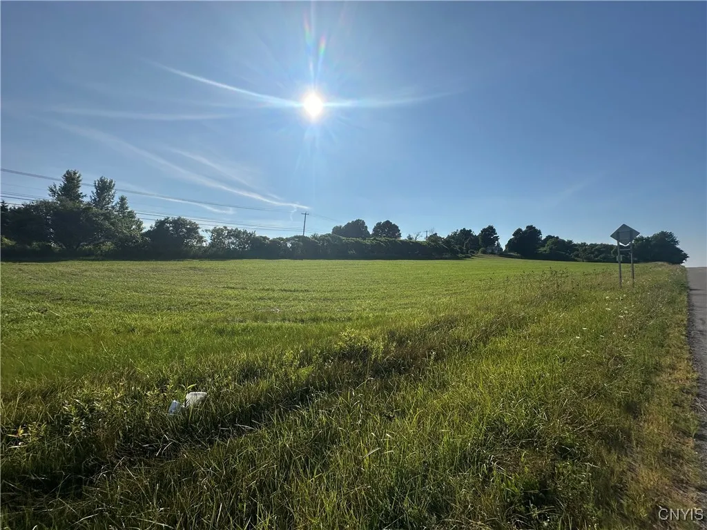 Putman Hill Road, Champion, New York 13619, Champion, New York 13619, ,Land,For Sale,Putman Hill Road, Champion, New York 13619,0,S1630090