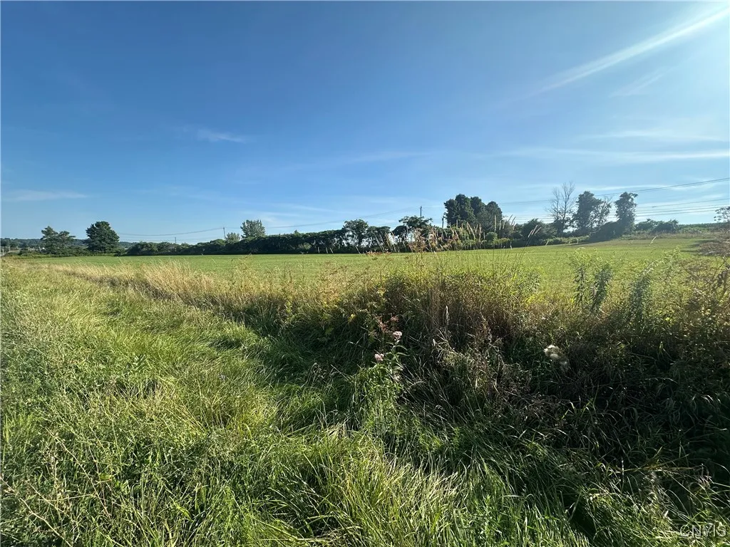 Putman Hill Road, Champion, New York 13619, Champion, New York 13619, ,Land,For Sale,Putman Hill Road, Champion, New York 13619,0,S1630090