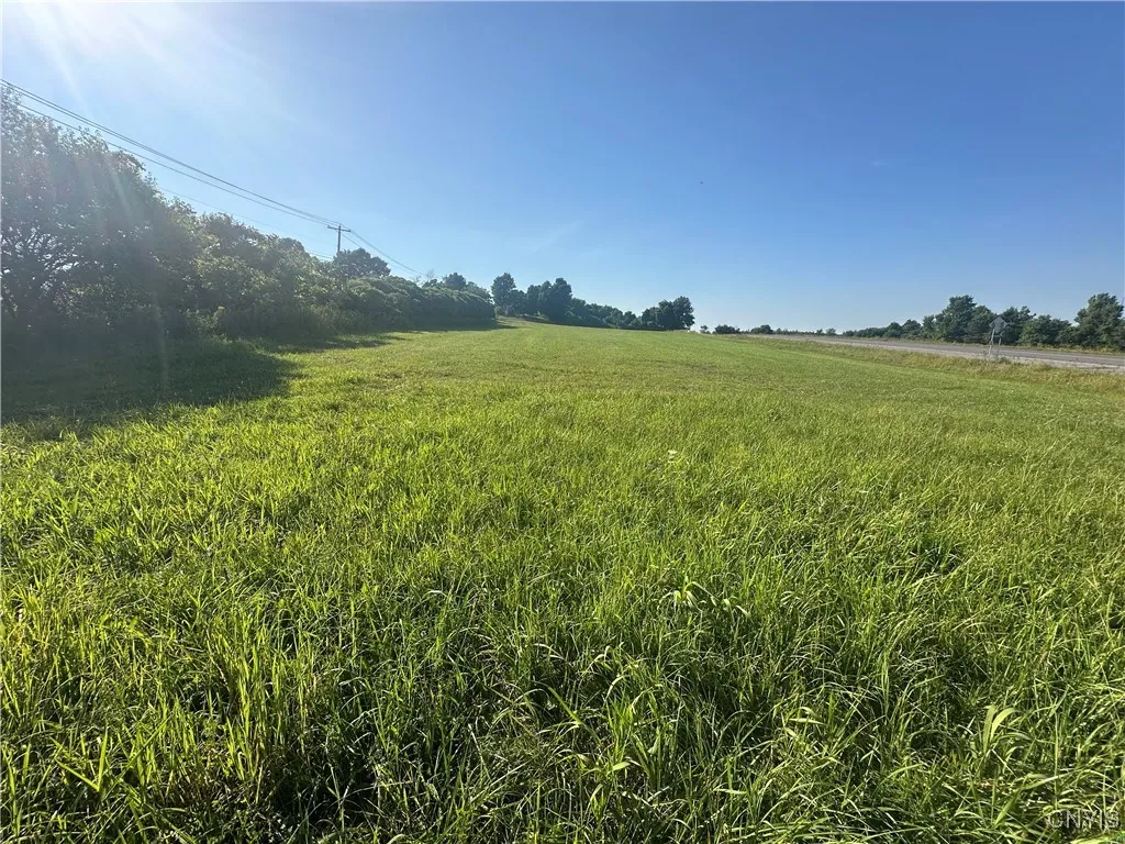 Putman Hill Road, Champion, New York 13619, Champion, New York 13619, ,Land,For Sale,Putman Hill Road, Champion, New York 13619,0,S1630090