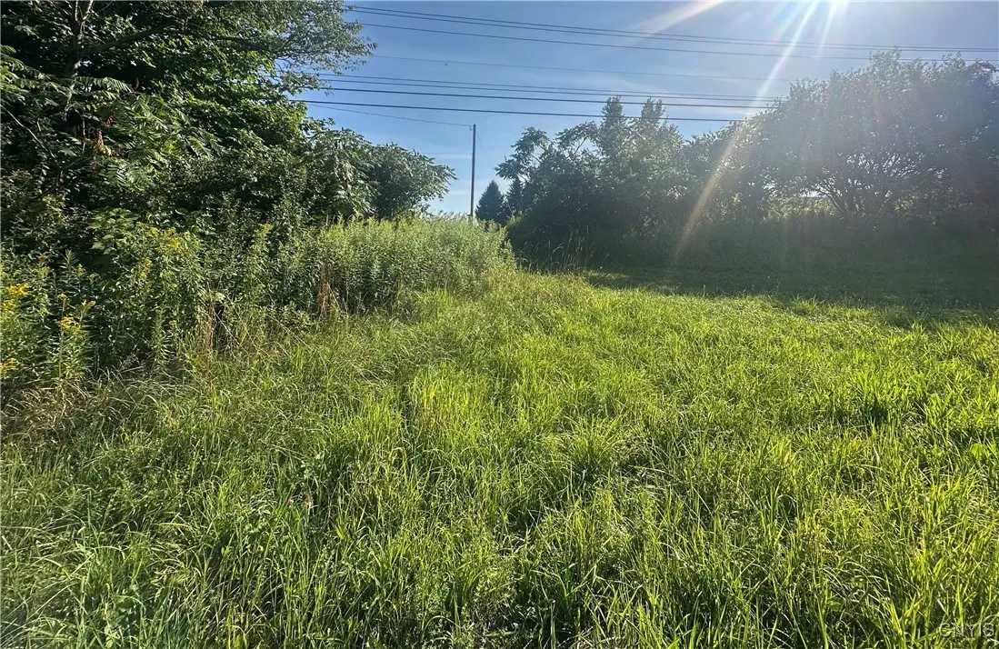 Putman Hill Road, Champion, New York 13619, Champion, New York 13619, ,Land,For Sale,Putman Hill Road, Champion, New York 13619,0,S1630090