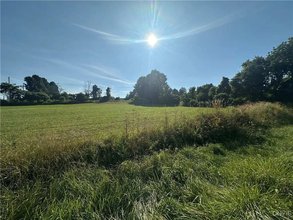 Putman Hill Road, Champion, New York 13619, Champion, New York 13619, ,Land,For Sale,Putman Hill Road, Champion, New York 13619,0,S1630090