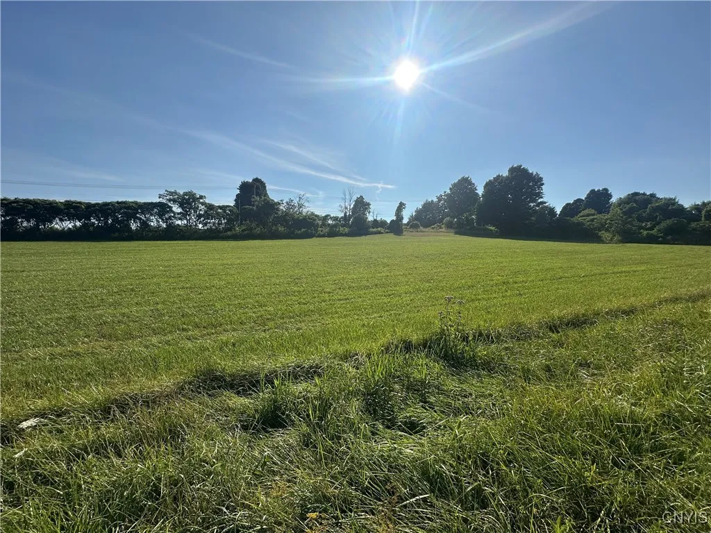 Putman Hill Road, Champion, New York 13619, Champion, New York 13619, ,Land,For Sale,Putman Hill Road, Champion, New York 13619,0,S1630090