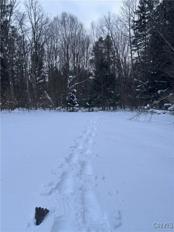 169 Richardson Road, Mexico, New York 13131, Mexico, New York 13131, 2 Bedrooms Bedrooms, 6 Rooms Rooms,1 BathroomBathrooms,Residential,Closed,169 Richardson Road, Mexico, New York 13131,0,S1630008