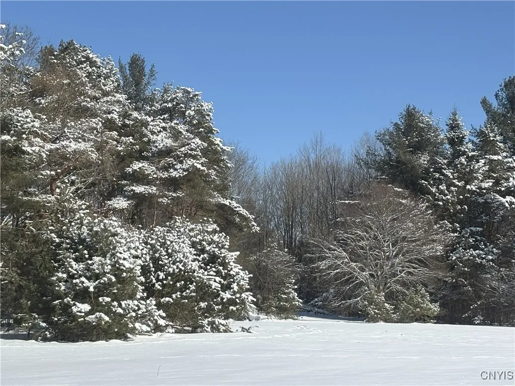 169 Richardson Road, Mexico, New York 13131, Mexico, New York 13131, 2 Bedrooms Bedrooms, 6 Rooms Rooms,1 BathroomBathrooms,Residential,Closed,169 Richardson Road, Mexico, New York 13131,0,S1630008