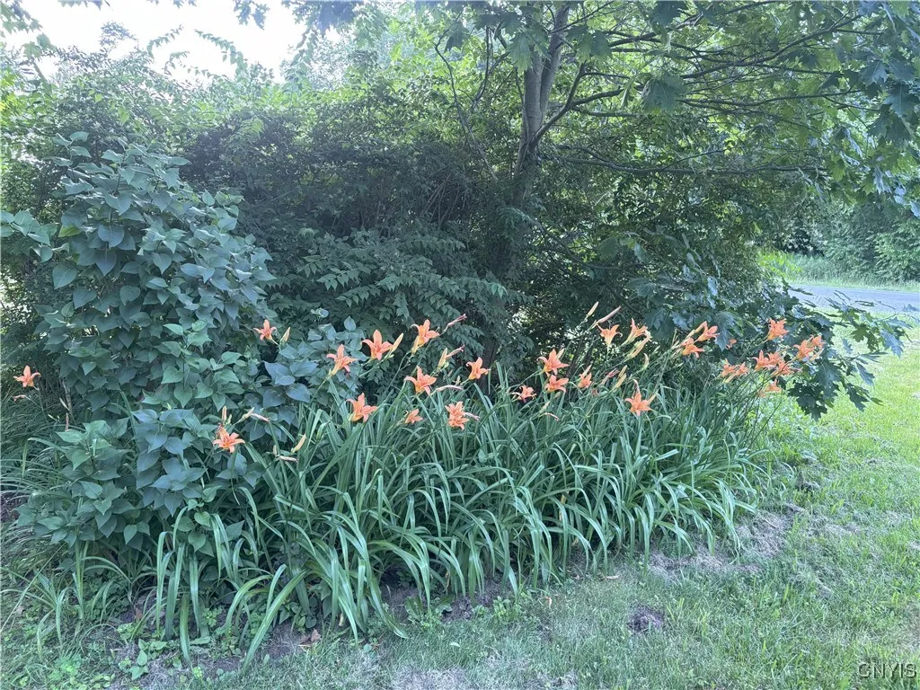 169 Richardson Road, Mexico, New York 13131, Mexico, New York 13131, 2 Bedrooms Bedrooms, 6 Rooms Rooms,1 BathroomBathrooms,Residential,Closed,169 Richardson Road, Mexico, New York 13131,0,S1630008