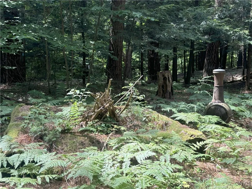 169 Richardson Road, Mexico, New York 13131, Mexico, New York 13131, 2 Bedrooms Bedrooms, 6 Rooms Rooms,1 BathroomBathrooms,Residential,Closed,169 Richardson Road, Mexico, New York 13131,0,S1630008