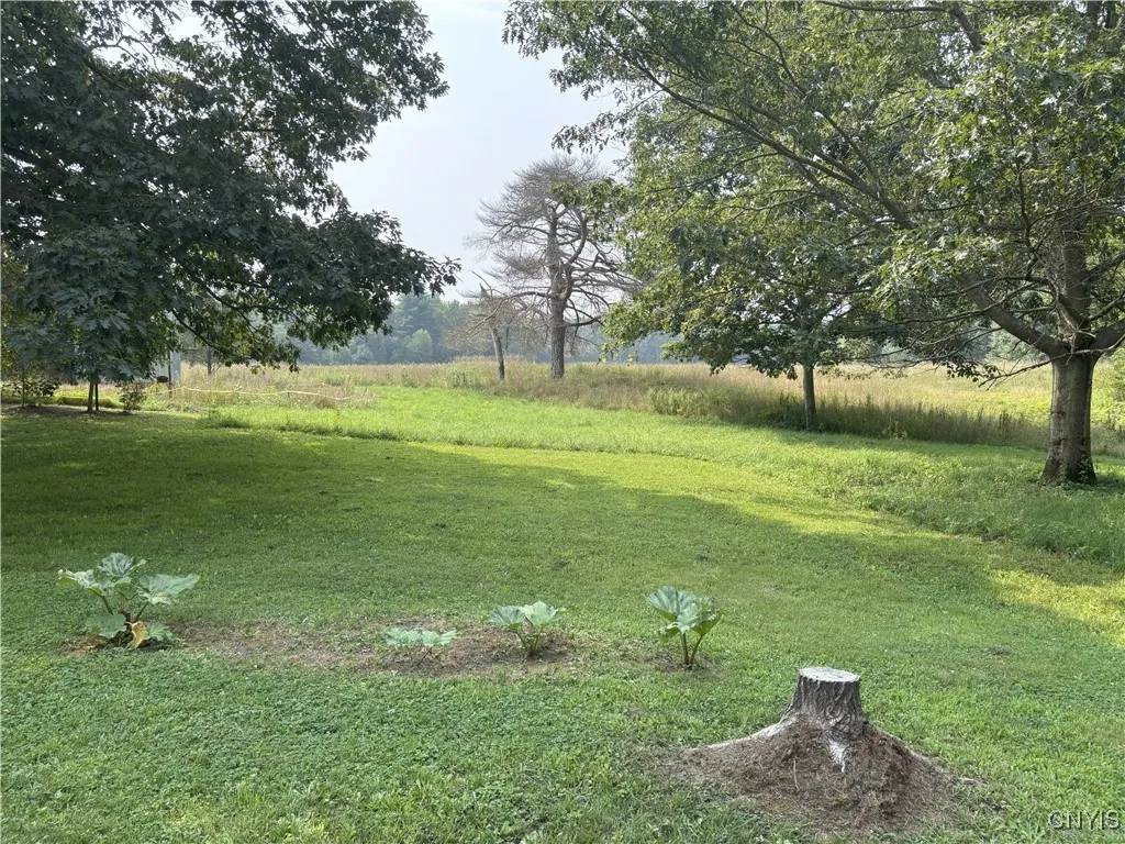 169 Richardson Road, Mexico, New York 13131, Mexico, New York 13131, 2 Bedrooms Bedrooms, 6 Rooms Rooms,1 BathroomBathrooms,Residential,Closed,169 Richardson Road, Mexico, New York 13131,0,S1630008