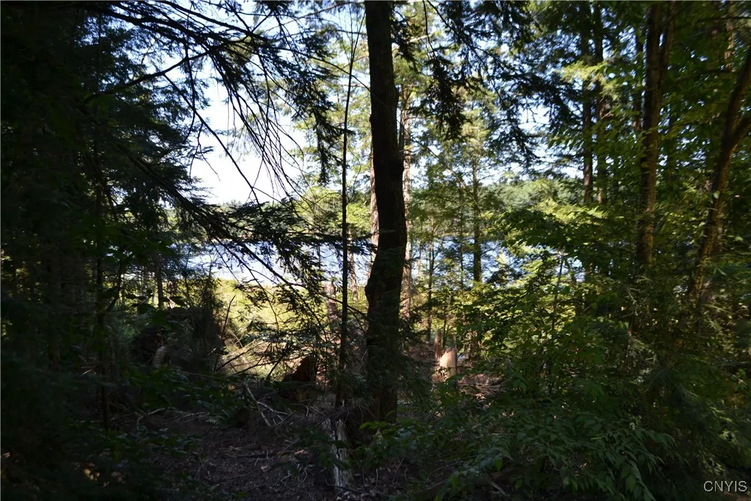 23 Kennedy Lane, Amboy, New York 13493, Amboy, New York 13493, 3 Bedrooms Bedrooms, 6 Rooms Rooms,2 BathroomsBathrooms,Residential,Closed,23 Kennedy Lane, Amboy, New York 13493,0,S1630100