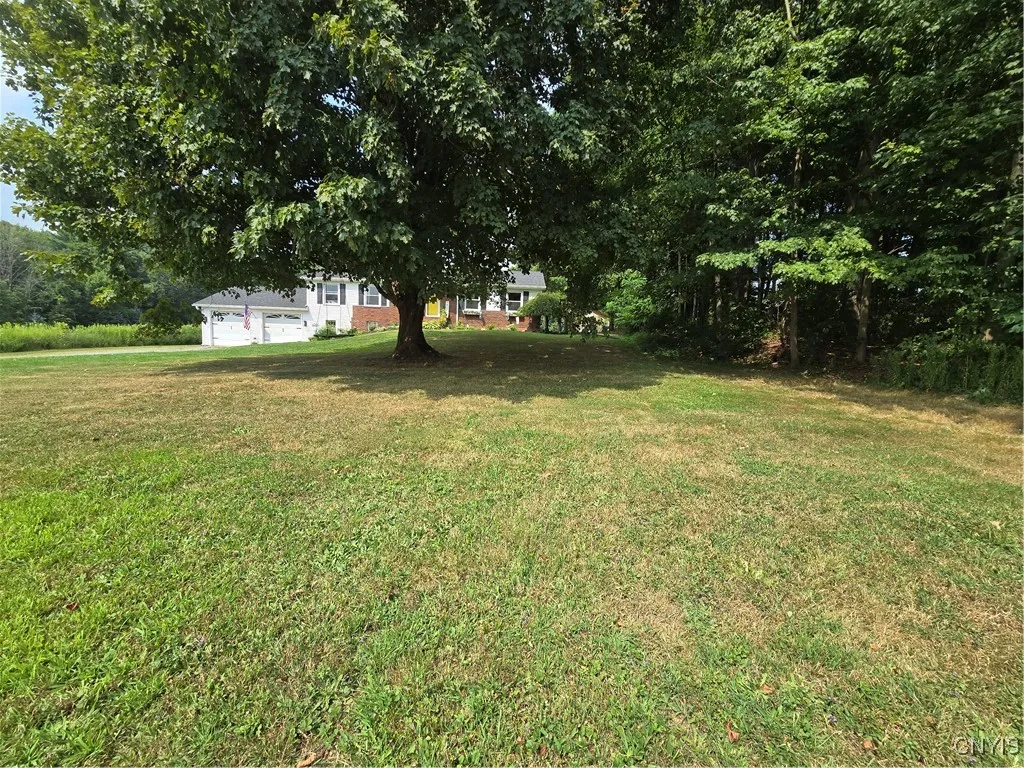 The huge tree in the front yard with its swing is beautiful and brings thoughts of days gone by.