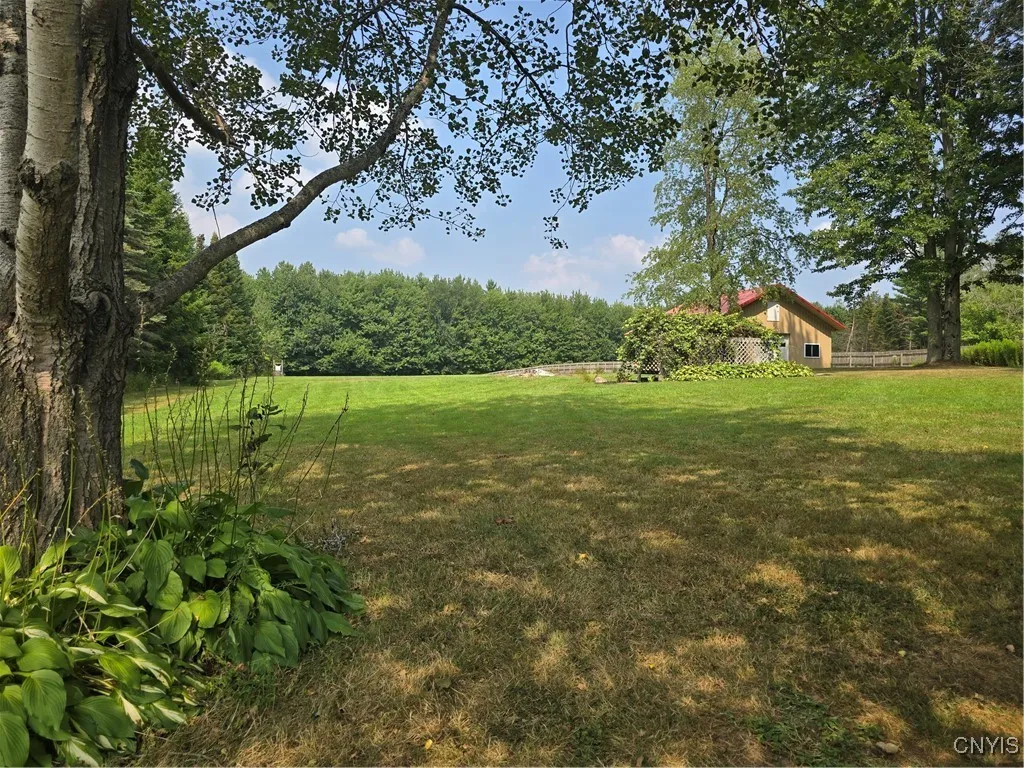 This is the view from the left side of the yard.