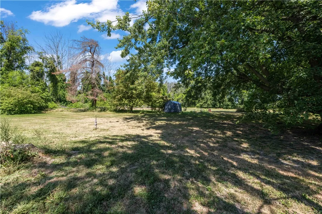 Looking back at the house from the back yard