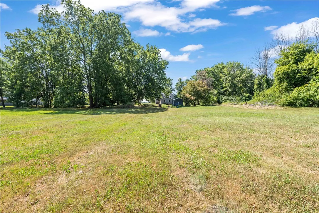 Looking back at the house from the back yard