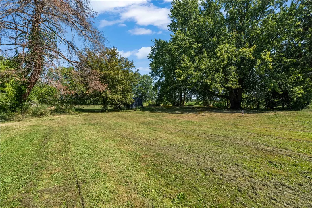 Looking out toward the back yard