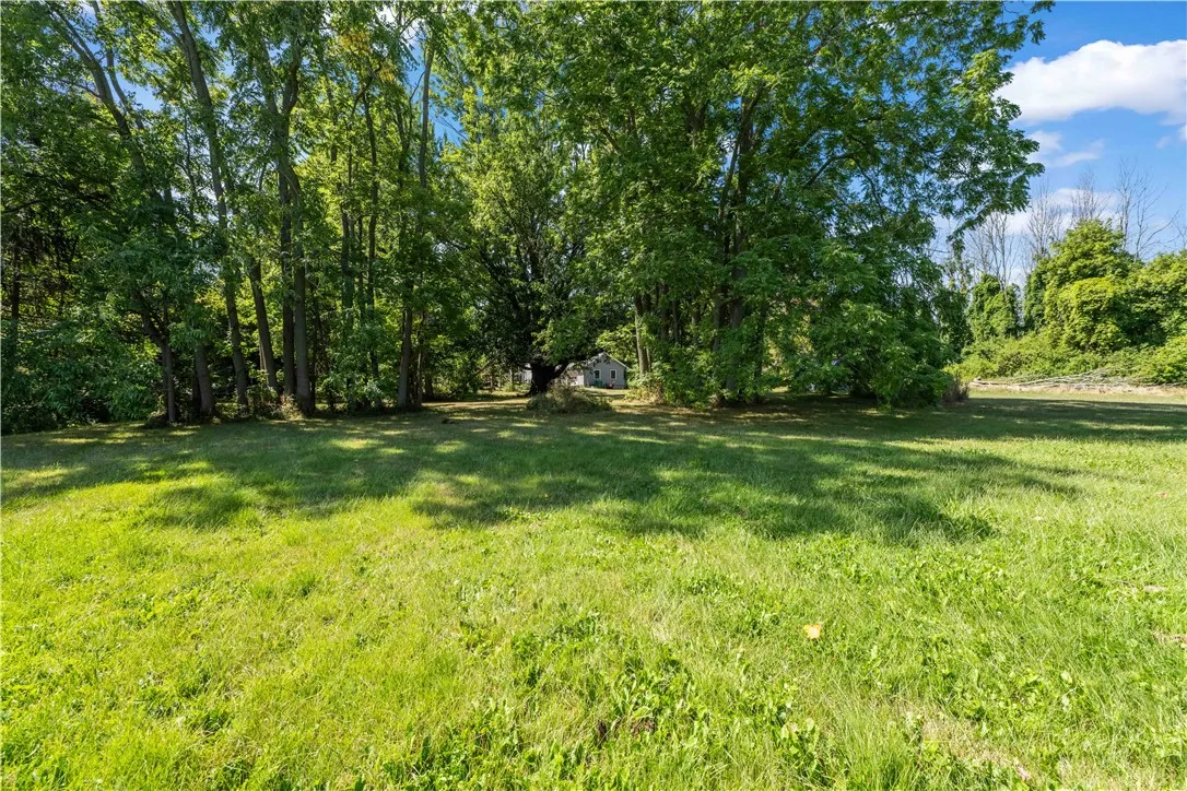 Looking back at the house from the back yard