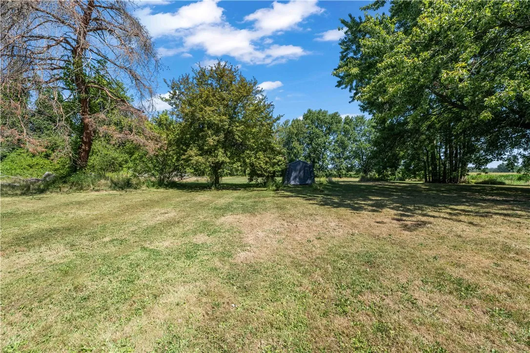 Looking out toward the back yard