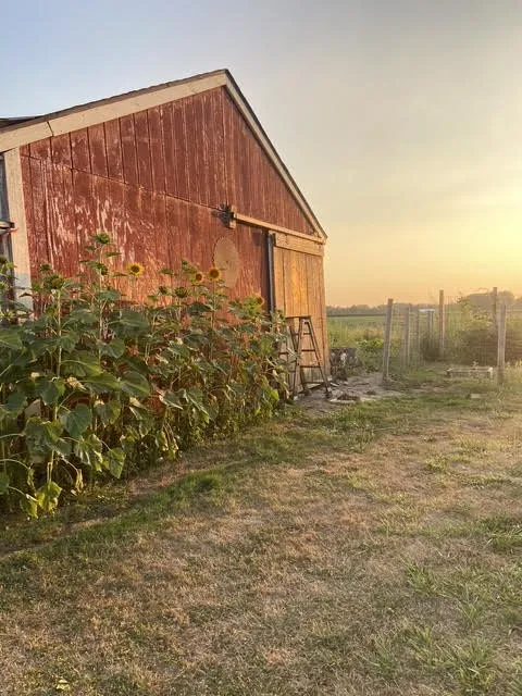 14112 Park Avenue, Carlton, New York 14571, Carlton, New York 14571, 2 Bedrooms Bedrooms, 5 Rooms Rooms,1 BathroomBathrooms,Residential,Closed,14112 Park Avenue, Carlton, New York 14571,0,R1630409