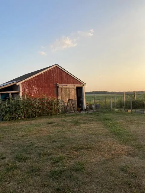 14112 Park Avenue, Carlton, New York 14571, Carlton, New York 14571, 2 Bedrooms Bedrooms, 5 Rooms Rooms,1 BathroomBathrooms,Residential,Closed,14112 Park Avenue, Carlton, New York 14571,0,R1630409