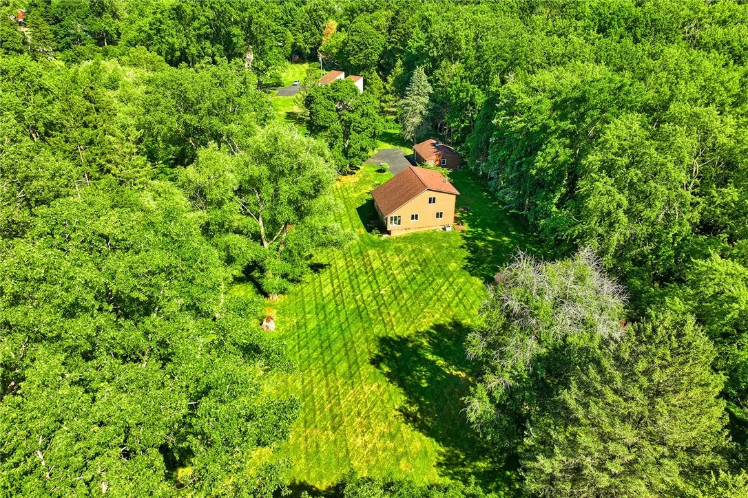 Wide open green space and a backdrop of mature trees.