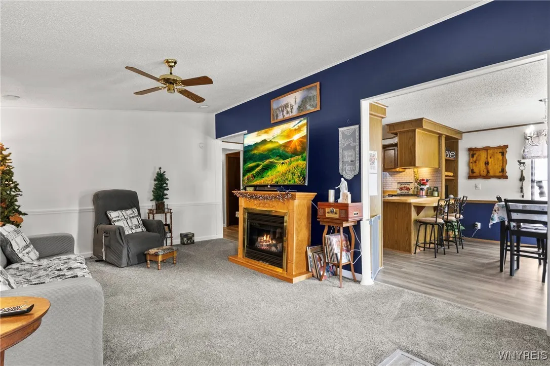 Living Room w/ Free Standing Fireplace