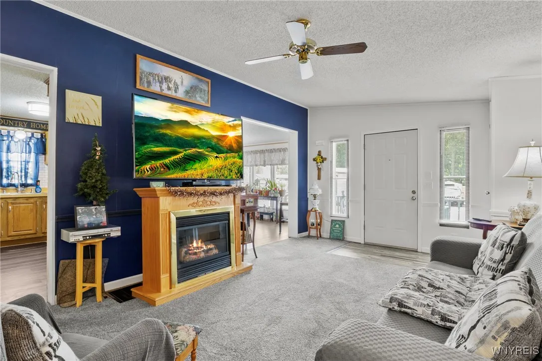 Living Room w/ Free Standing Fireplace