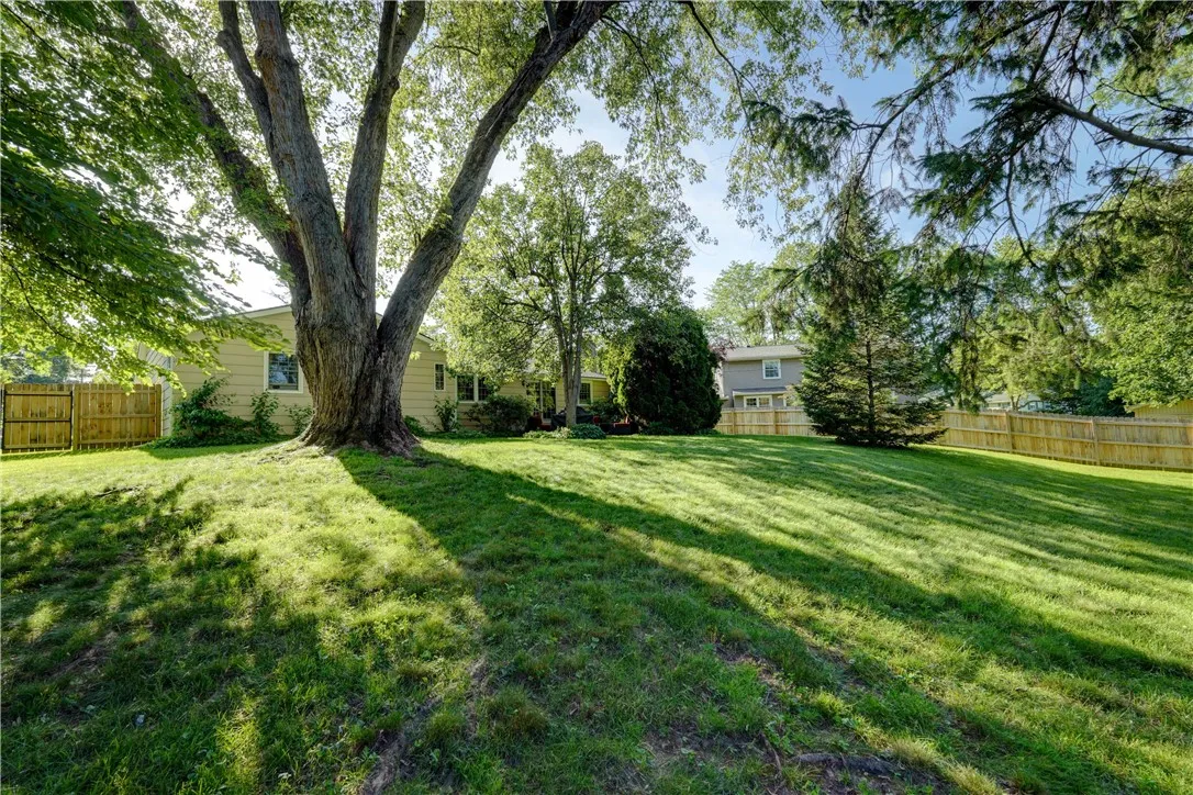 Large fully fenced in yard