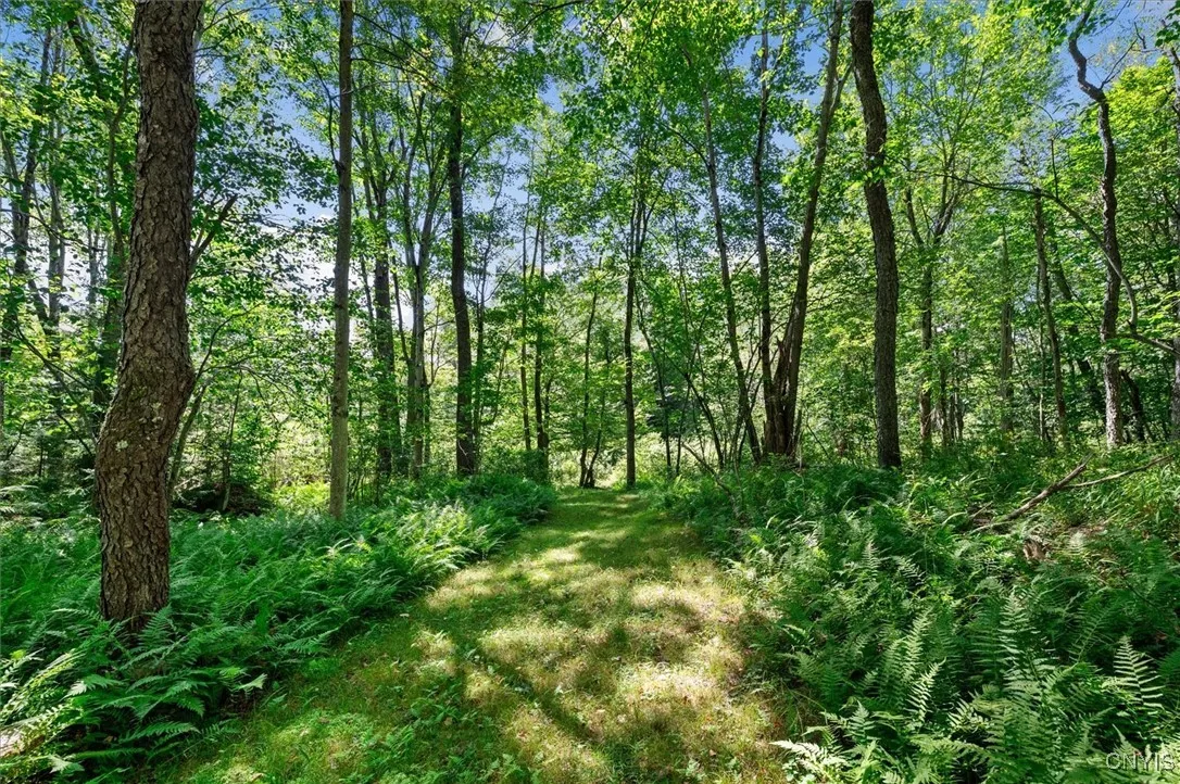 5242 Grantville Road, Forestport, New York 13338, Forestport, New York 13338, 2 Bedrooms Bedrooms, ,1 BathroomBathrooms,Land,Closed,5242 Grantville Road, Forestport, New York 13338,0,S1630496