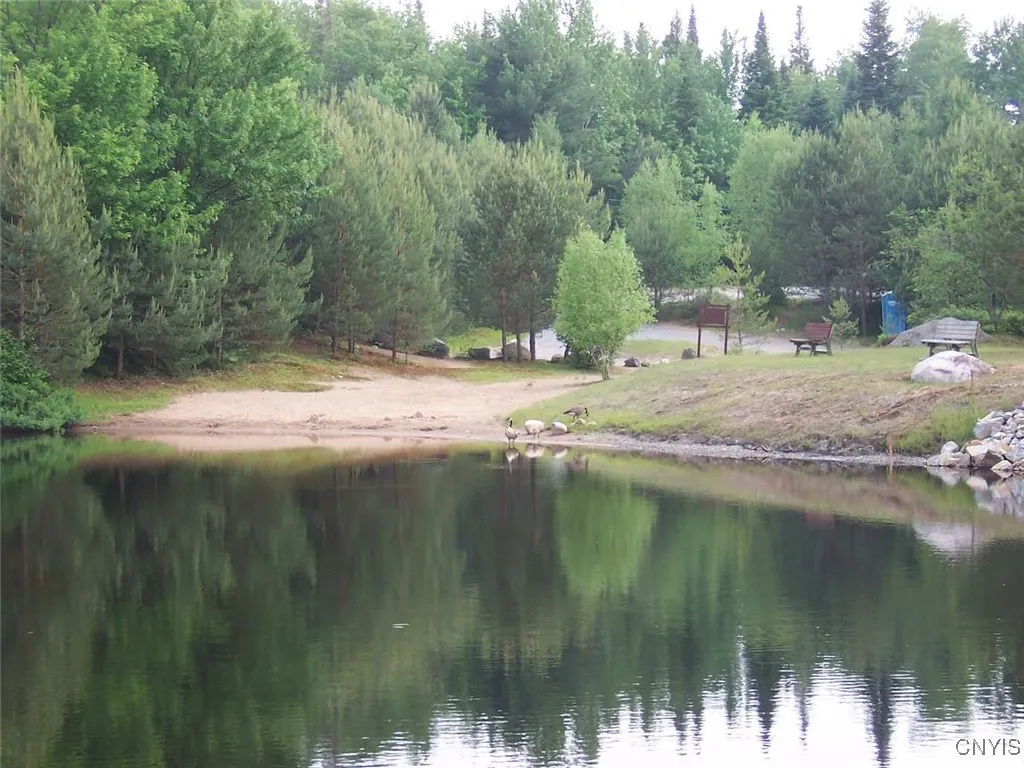 5242 Grantville Road, Forestport, New York 13338, Forestport, New York 13338, 2 Bedrooms Bedrooms, ,1 BathroomBathrooms,Land,Closed,5242 Grantville Road, Forestport, New York 13338,0,S1630496
