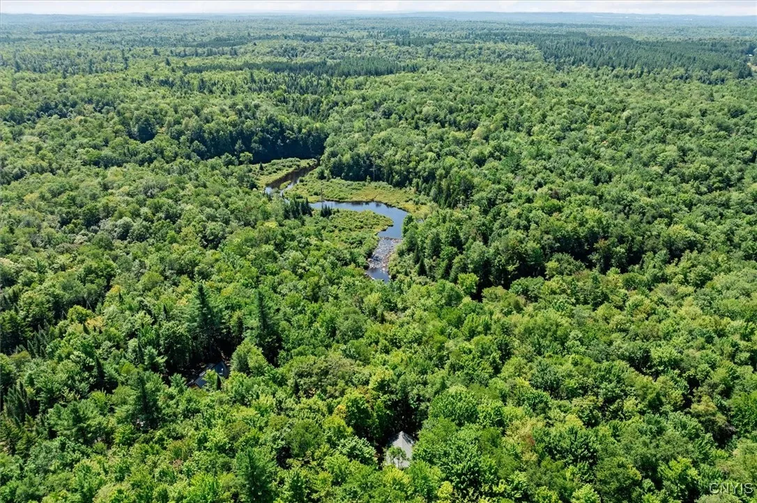 5242 Grantville Road, Forestport, New York 13338, Forestport, New York 13338, 2 Bedrooms Bedrooms, ,1 BathroomBathrooms,Land,Closed,5242 Grantville Road, Forestport, New York 13338,0,S1630496