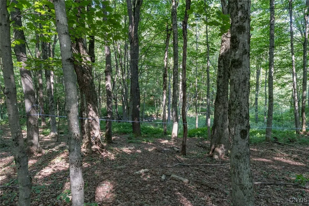 4823 Highmarket Road, West Turin, New York 13325, West Turin, New York 13325, 3 Bedrooms Bedrooms, 5 Rooms Rooms,1 BathroomBathrooms,Residential,Closed,4823 Highmarket Road, West Turin, New York 13325,0,S1630114