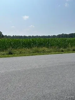 0 Skillet Road, Scipio, New York 13147, Scipio, New York 13147, ,Land,Closed,0 Skillet Road, Scipio, New York 13147,0,S1629731
