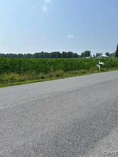 0 Skillet Road, Scipio, New York 13147, Scipio, New York 13147, ,Land,Closed,0 Skillet Road, Scipio, New York 13147,0,S1629731